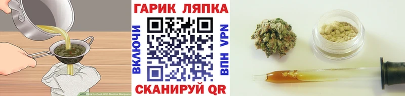 shop какой сайт  Абдулино  Cannafood конопля  МЕГА ссылка 