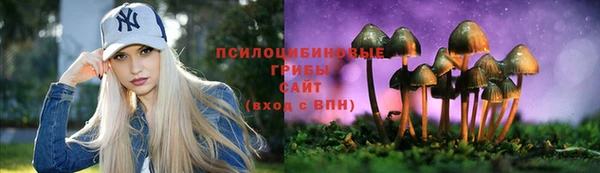 гидра Армянск