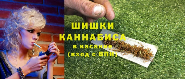 твердый Алзамай