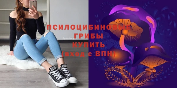 шишки Протвино