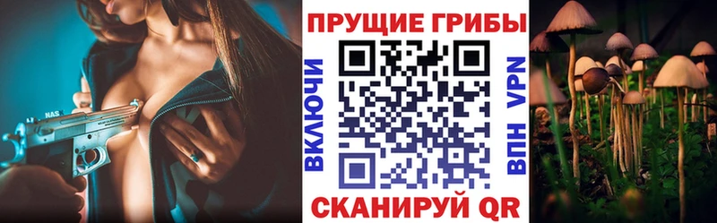 закладки  Абдулино  Галлюциногенные грибы прущие грибы 